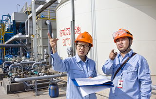洛阳石化炼油污水提标装置稳定运行